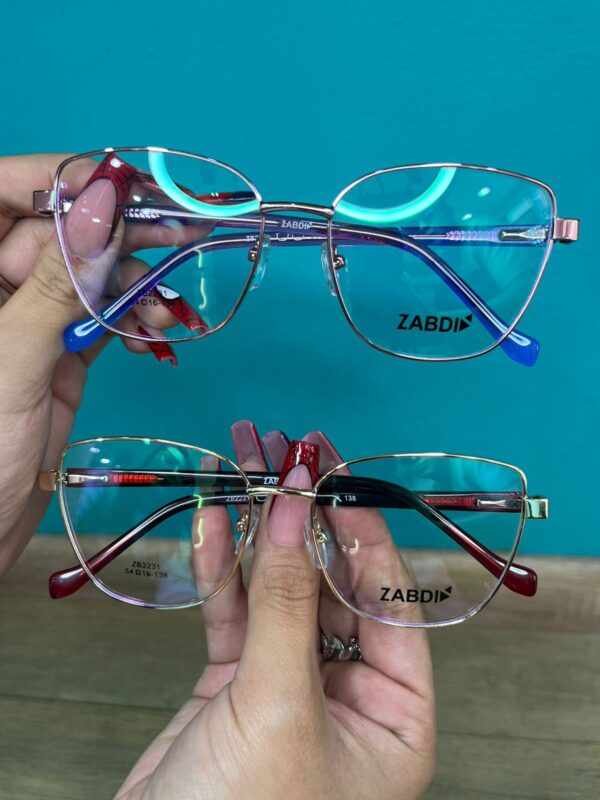 ZB2231 - Imagen 4